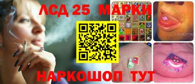 гашик Донской