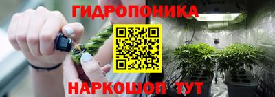 гашик Донской