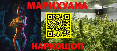 гашик Донской
