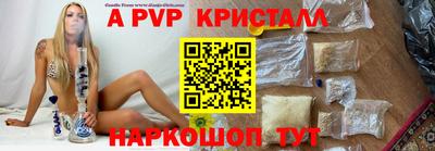 гашик Донской