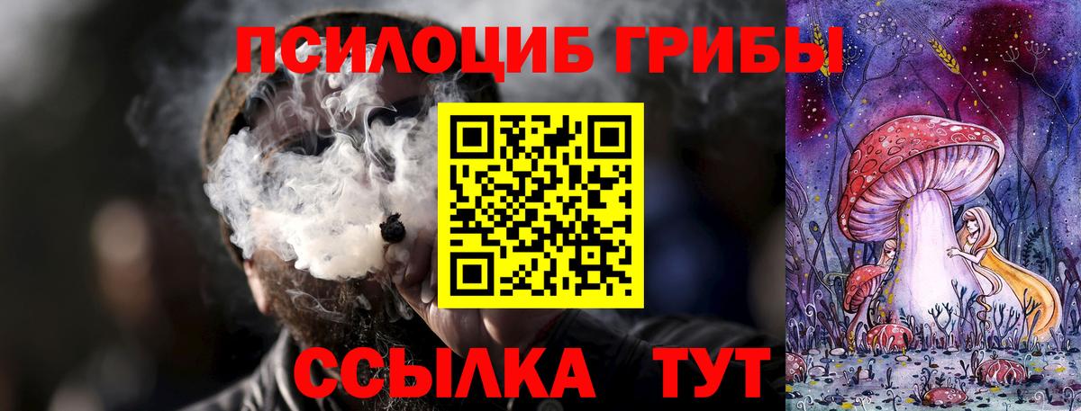 Галлюциногенные грибы Magic Shrooms Лыткарино