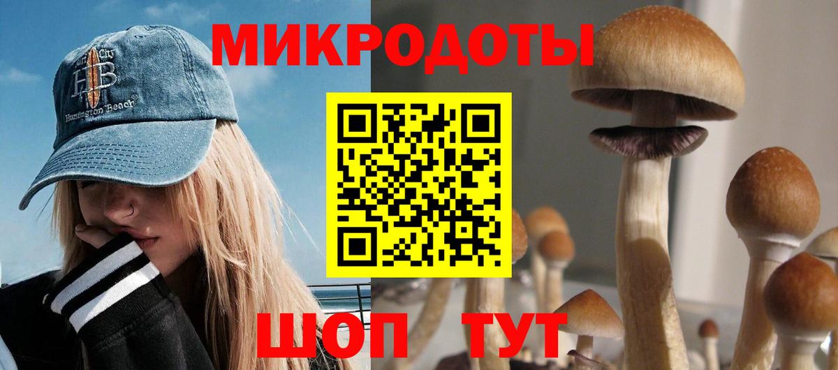 Галлюциногенные грибы Cubensis  Вход с VPN  Лыткарино  где найти наркотики  Галлюциногенные грибы прущие грибы 