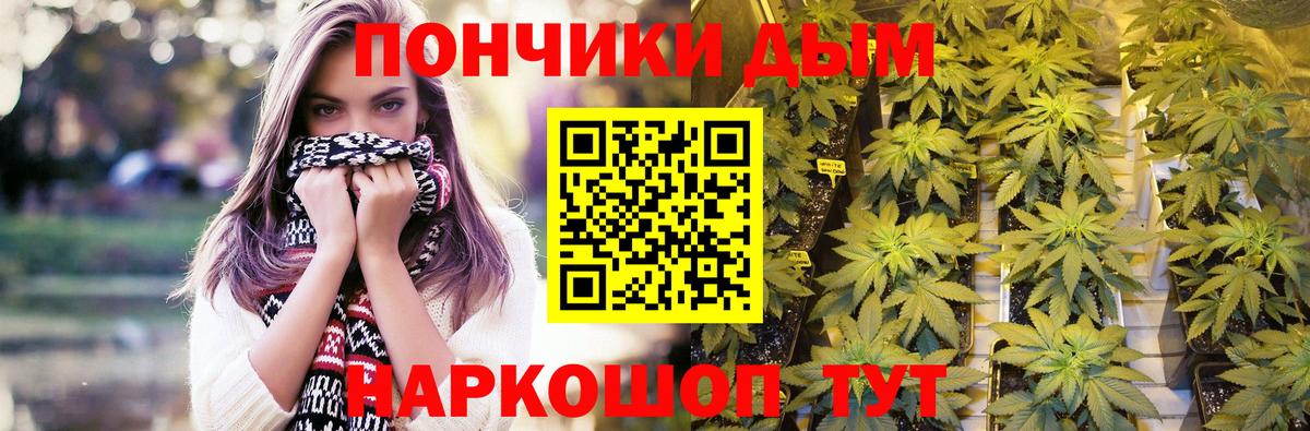 Канабис ГИДРОПОН Лыткарино